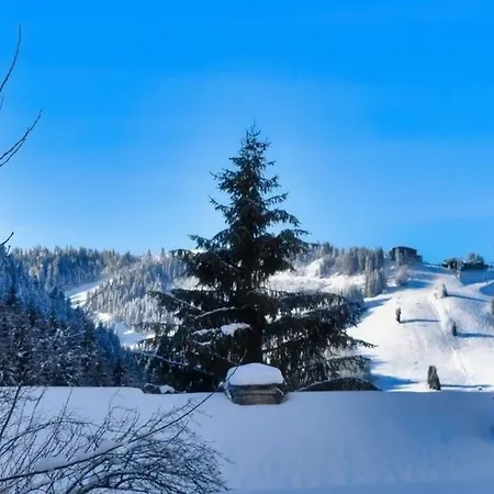 Chalet 9-bed With Easy Access To Avoriaz 1800 Morzine
